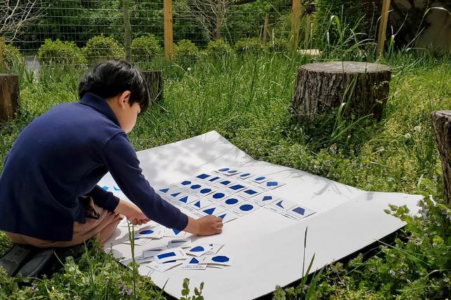 Boy working with geometric cards in garden